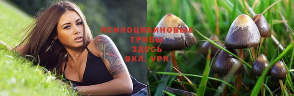 спиды Володарск