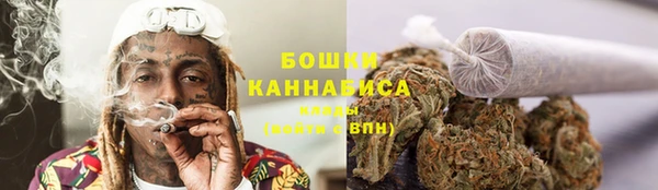 молекула духа Волоколамск