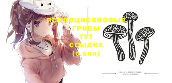 молекула духа Волоколамск