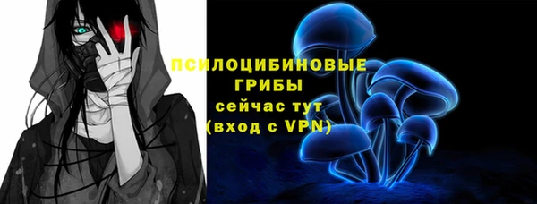 твердый Вязьма