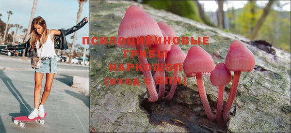 молекула духа Волоколамск