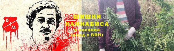 молекула духа Волоколамск